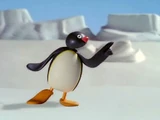 Pingu (Partially Found Welsh Version)