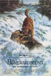 Homeward Bound - The Incredible Journey Poster