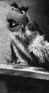 197211.jpg (11 KB)