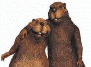 Bellbeavers-080801.jpg (38 KB)