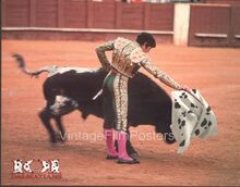 101dalmatiansLCE750.jpg