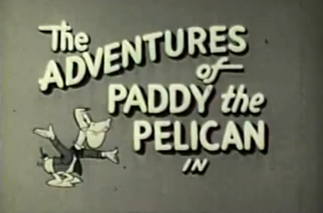 Paddy the pelican