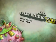 Yukes-halfterm-board.png (544 KB)