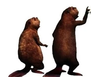 Bellbeaver.jpg (17 KB)
