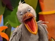 Wingo the Shoebill that is found by User:Scarecroe of Muppet Wiki