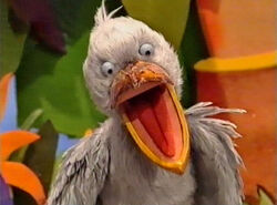 Wingo the Shoebill.jpg