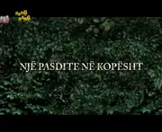 9176D282-C2AD-481E-84AC-E16CF1284C20