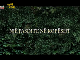 In The Night Garden (Lost Albanian Dub)