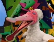 Julius the Spoonbill that is found by [[User:Scarecroe] of Muppet Wiki