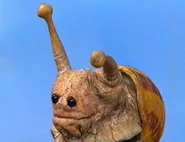 Alicia the Snail that is found by [[User:Scarecroe] of Muppet Wiki