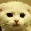 Profile picture of her channel