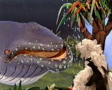 Inidra the Whale.jpg