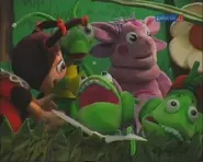 Кадр из поста seagull.