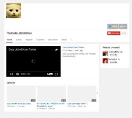 TheCuteLittleKittensChannel