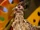 Episode 209: Marine Iguana & Roadrunner