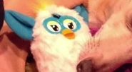 Her possible channel banner.