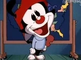 Animaniacs (Partially Found 3rd Russian dub)