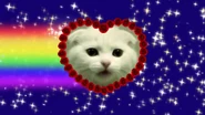 Thumbnail of "Nyan Cat fan video ♥♥♥ Nyan Kitten ♥♥♥"