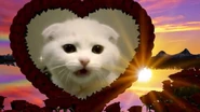 Thumbnail of "Youtube has lost that Lovin Feelin!"