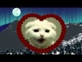 Thumbnail of "Cute Little Kitten Sings White Christmas"