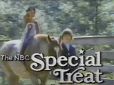 Special Treat (partially found American television series; 1975)
