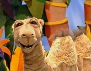 Doreen the Camel that is found by User:Scarecroe of Muppet Wiki