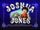 Joshua Jones (Rare Original Welsh Dub)