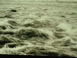 Запорожская сечь (немой фильм, 1911)
