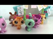 Bcd9a32cc0c461aaf1227d61393af3f4.jpg (15 KB) third footage of another episode of casey e jenny