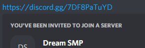 The Dream Smp Discord Server Partially Found Leaks Lost Media Archive Fandom