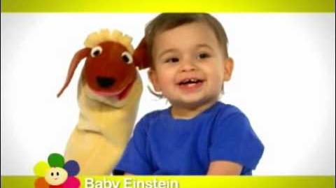 Baby Einstein (partially found BabyFirstTV airing of toddler program; 2010-2012)