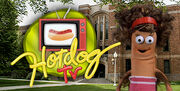 HDTV Logo.jpeg