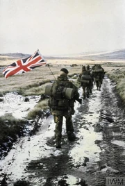 British troops in the war