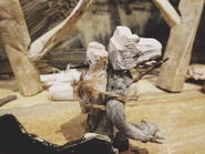 Кадр с выставки