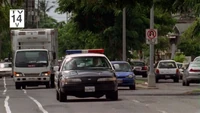  and  Ford Crown Victoria -Einsatzwagen aus „“. Auffälig ist der fehlende Aufprallschutz an der vorderen Stoßstange. Die Nummernschilder der anderen Wagen lassen sich, wenn auch schwer, als hawaiianische entziffern.
