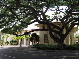 Hale Auhau