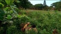 Otherville losties POV