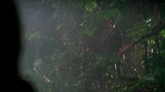Walt jungle.jpg (148 kio) Dernière apparition de Walt vue par Shannon. (Abandonnée)