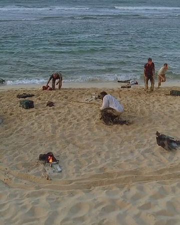 Just Another Day On The Beach Lostpedia Fandom