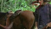 La mano del entrenador del caballo es visible una fración de segundo.