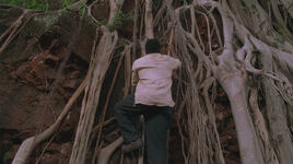 2x21-VerticalEko