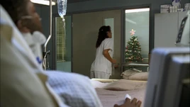 曼克頓斯普林斯醫院