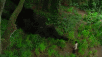 Themonster.gif