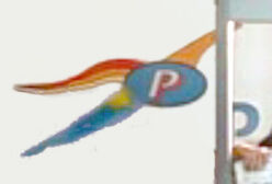 Logo panpacificair