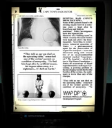 The article includes the logo of Hanso's Worldwide Wellness and Prevention Development Program.