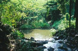 Kapena