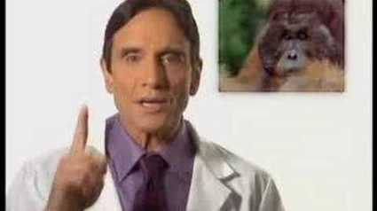 Dr._Mittlewerk_-_LEP