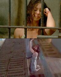 Many people saw the result, but only few have ever seen the explanation.