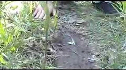 Lost_-_The_Other_Side_-6_-_The_Other