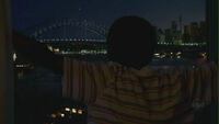 Walt overlooking - Sydney Harbour Bridge